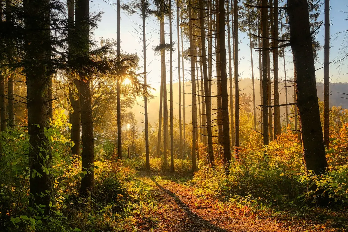 Seasonal Twilight Photography: What to Shoot in Autumn and Winter